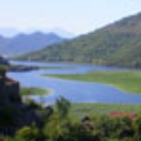 Popeyes Louisiana Chicken